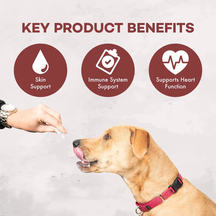 Dog Jocks - Coromega Pup Packets-Skin & Immune Support  Omega-3 Fatty Acids: EPA & DHA
