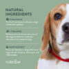 Dog Jocks - HolistaPet CBD Dog Treats + Calming Relief 300mg CBD Dog Treats for Anxiety